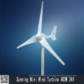 Wind Motor Generator, Motor for Wind Generator, Motor Wind Generator